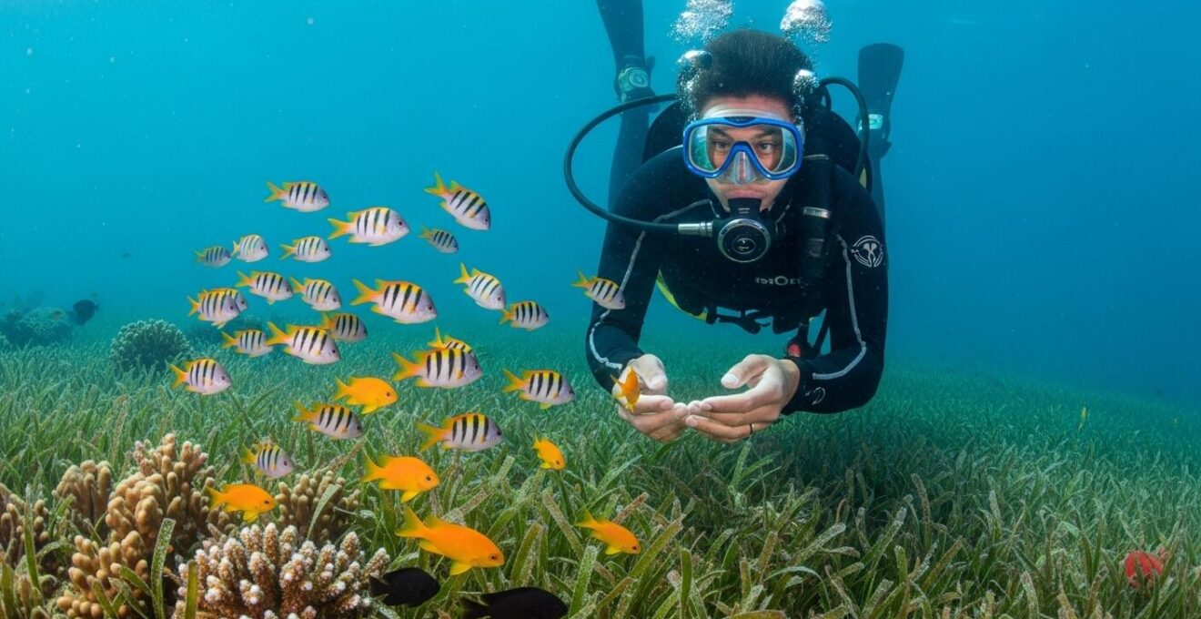 Explorateur sous-marin observant la faune et flore aquatiques tropicales en Guadeloupe