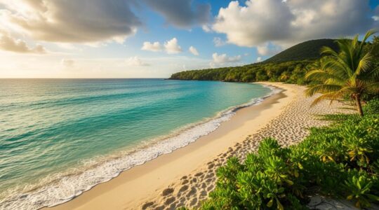 Paysage tropical de la Guadeloupe avec plage de sable blanc, mer turquoise, ciel partiellement nuageux, soleil et végétation luxuriante