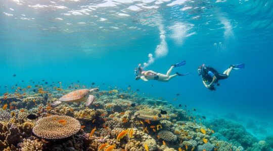 Plongeur explorant les fonds marins colorés de Guadeloupe avec masque, tuba, et bouteilles de plongée