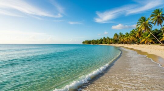 Une plage paradisiaque de Guadeloupe avec eau turquoise, sable blanc et palmiers, symbolisant l'expérience immersive et sensorielle de la mer des Caraïbes